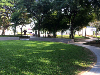 Trees in park