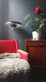 Red lamp at home