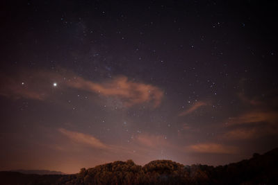 Low angle view of star field against sky at night