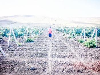 Rear view of person with umbrella walking on land