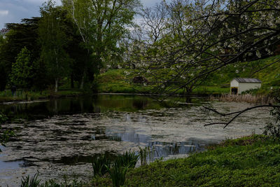 Scenic view of lake by trees against sky