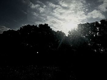 Silhouette trees in forest against sky