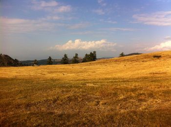 Scenic view of field against sky