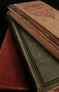 Close-up of food on table