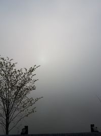 sky