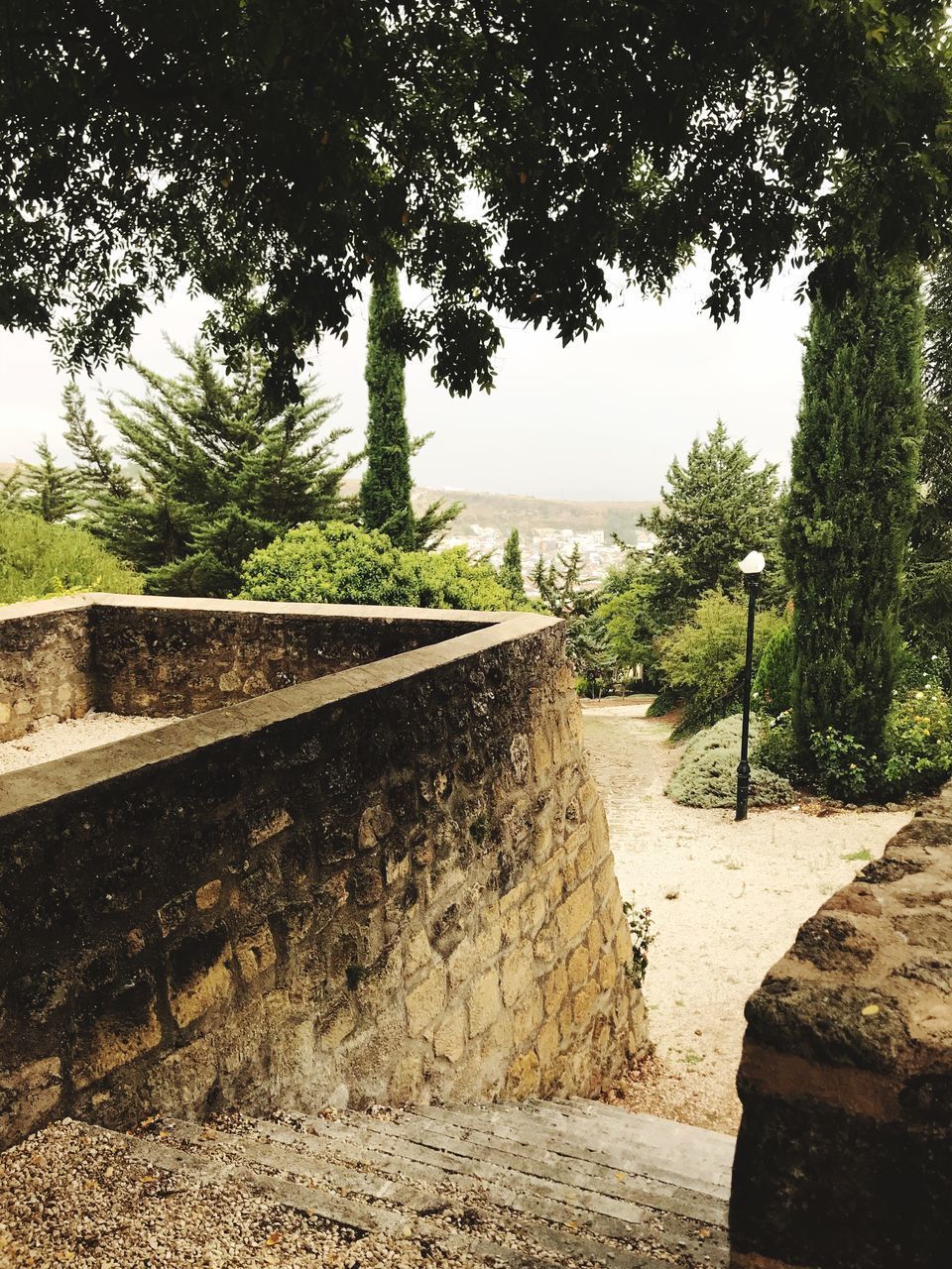 FOOTPATH BY RETAINING WALL AGAINST TREES