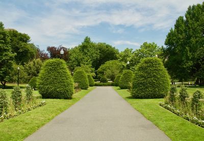 Plants growing in park