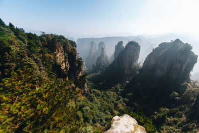 Trees on mountain against sky