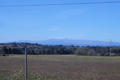 Scenic view of landscape against clear sky