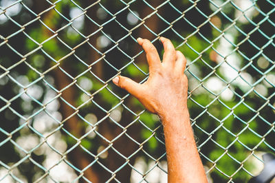 Close-up of man holding chainlink fence