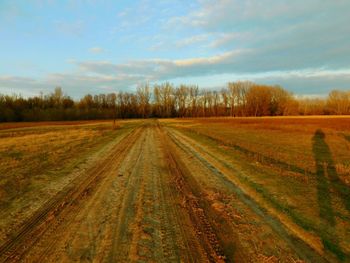 Scenic view of field against cloudy sky