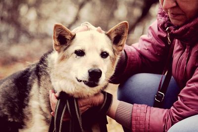 Midsection of woman with dog sitting in winter