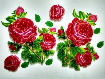 High angle view of fruits against white background