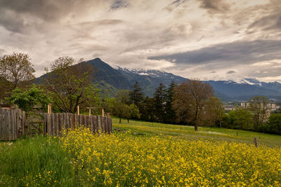 Scenic view of grassy field against cloudy sky