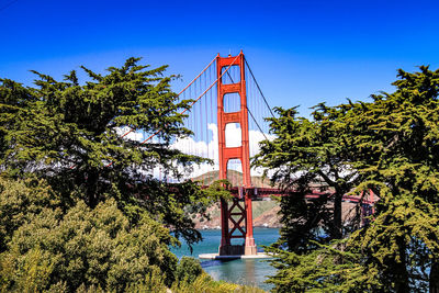 Built structure by plants against clear blue sky
