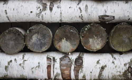 Close-up of old wooden logs against wall