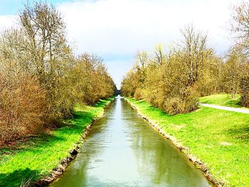 View of canal along trees