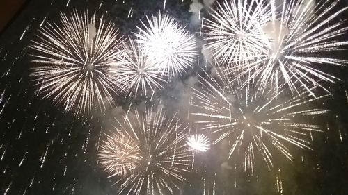 Low angle view of firework display against sky at night