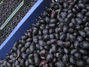 High angle view of fruits for sale in market