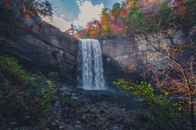 Scenic view of waterfall in forest
