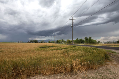 Scenic view of farm against cloudy sky