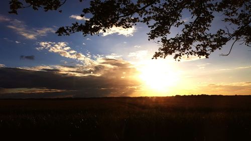 Silhouette of trees on field against sky at sunset