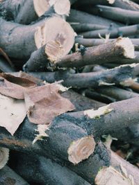 Close-up of logs