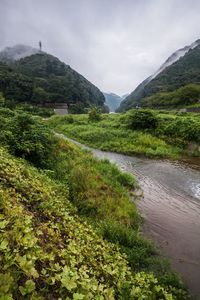 Scenic view of green landscape against sky