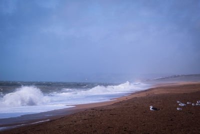 Scenic view of beach against sky