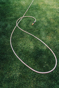 High angle view of rope on grassy field