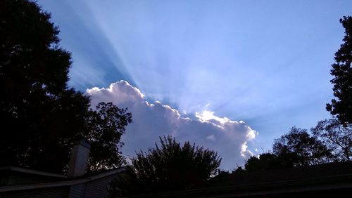 Low angle view of silhouette trees against sky