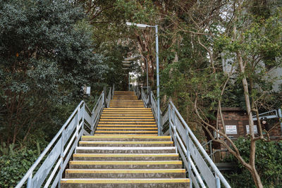 Low angle view of steps amidst trees in residential area