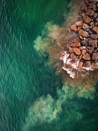 High angle view of rock in sea