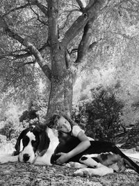 Portrait of girl relaxing with great dane at park