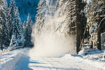 Scenic view of waterfall in forest during winter