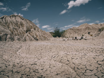 Surface level of barren land against sky