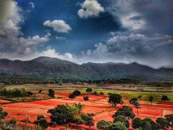 Scenic view of agricultural field against sky