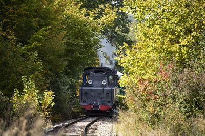 Train on railroad track amidst trees