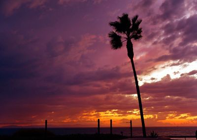 Silhouette palm trees on beach against romantic sky at sunset