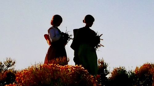 Low angle view of people standing on flowering plants against clear sky