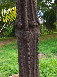 Close-up of tree trunk in field