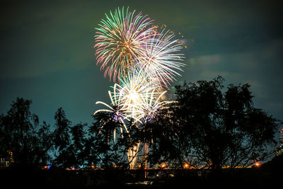 Low angle view of firework display at night