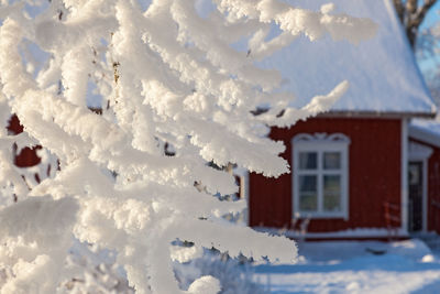 Close-up of snow covered houses against building