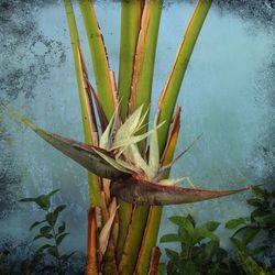 View of tree stump in water