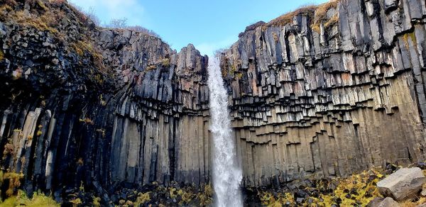 Low angle view of plants growing on rocks