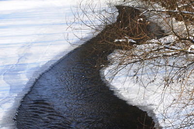 Bare tree by frozen river during winter