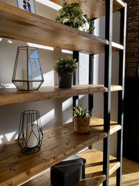 Potted plants on the shelf at home