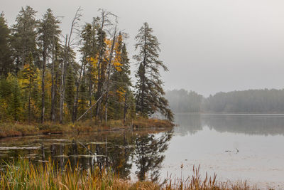 Scenic view of calm lake in forest against sky