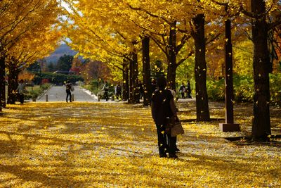 Men standing on yellow leaves by trees at park during autumn