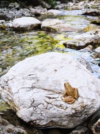 High angle view of stones in water